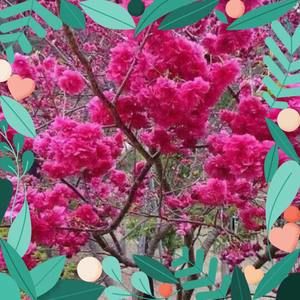 Meet your Posher, Lynn